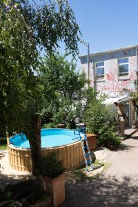 Una piscina con un árbol y una escalera al lado. en Kunstloft, en Marienberg