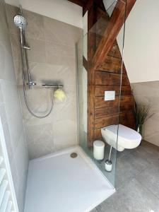 a bathroom with a glass shower with a toilet at Dornröschen-Loft in Marienberg +59 photos