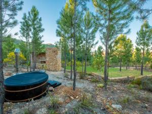 a barrel sitting in the middle of a field with trees at Bumbrah Camp and Glamp in Houhoek