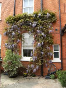 a building with a window with purple flowers on it at Bridge House Bed & Breakfast in Newark upon Trent