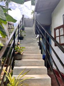 a staircase leading up to a house with plants at Melon Guest - Weligama in Weligama +6 photos