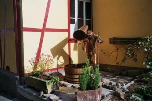 Zahrada ubytování TIPTOP Hotel Garni Pfauen