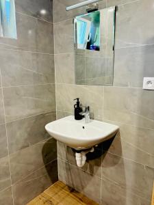 a bathroom with a sink and a mirror at Apartmány POKOJ in Podhájska +10 photos