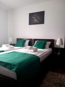 Afbeelding uit fotogalerij van Pensiunea Rhein in Azuga