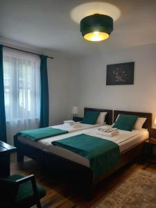 Afbeelding uit fotogalerij van Pensiunea Rhein in Azuga +116 foto's