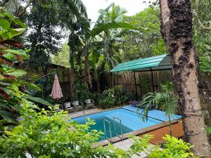 a swimming pool in the middle of a garden at Ina Homestay in Coron