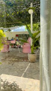 斋浦尔Royal Saket的庭院里种有盆栽植物,配有桌椅