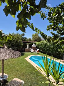a garden with a swimming pool and a lawn at Casa Rural Las Bodegas in Setenil