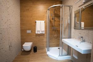 a bathroom with a shower and a sink and a toilet at Apartamenty Rynek 13 in Grudziądz