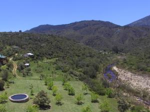 Naturlandskabet i nærheden af lejligheden