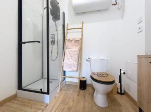 a bathroom with a toilet and a glass shower at Appartement-Terrasse in Montbéliard