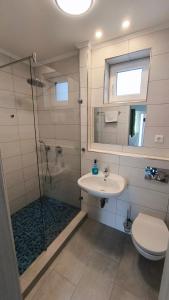a bathroom with a shower with a sink and a toilet at Halzóna in Balatonszabadi