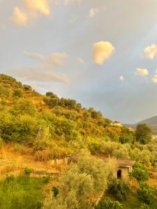 Gallery image of Guest house Irvin in Berat +109 photos