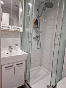 un baño con ducha y lavabo en Business Suite Novi Sad Center, en Novi Sad