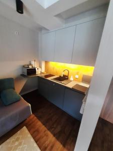 Η κουζίνα ή μικρή κουζίνα στο Kozubnik Apartment