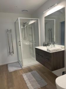 a bathroom with a shower and a sink at Spa apartment in Queenstown in Queenstown Airport
