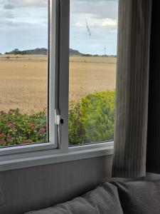 ウィットリー・ベイにあるLighthouse and sea viewsの花畑の景色を望む窓