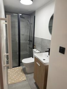 a bathroom with a shower and a toilet and a sink at La Petite Couze, Maison cozy pour 2 en Auvergne in Le Breuil-sur-Couze +2 photos