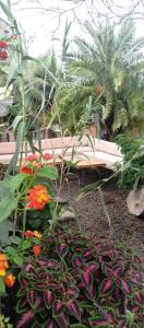 Munyuにあるthe rustic ecoscapeの花の庭園のベンチ
