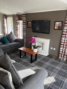 a living room with a couch and a tv above a fireplace at Hepburns Lodge 19 in Strachan