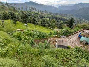 Landskap semula jadi dekat dengan rumah tamu ini