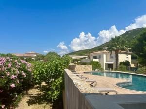 a swimming pool with lounge chairs next to a house at Manureva Calvi in Calvi