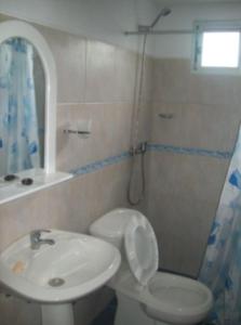 a bathroom with a white toilet and a sink at La Vidurria in Piriápolis