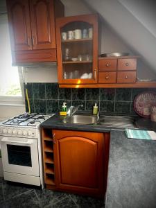 a kitchen with a sink and a stove at Tavaszmező in Pécs +9 photos