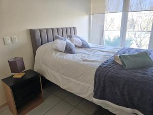 a bedroom with a bed with blue pillows on it at Providencia Encantador y elegante departamento in Santiago