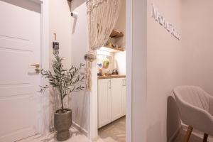 ナポリにあるMadame Toledo Luxury Roomsの鉢植えの廊下