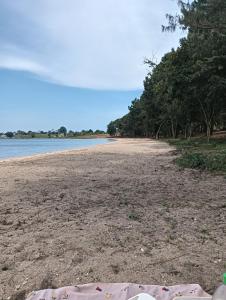 an empty beach with trees and water in the background at Cosy and Elegant apartment in Ntabwe +10 photos