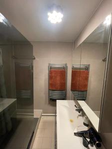 a bathroom with a sink and a shower and a mirror at T3 68m2 Garage Terrasse Gare aux portes de Genève in Saint-Julien-en-Genevois +2 photos