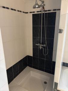 a bathroom with a shower with a tub at Maison familiale à louer in Bénesse-Maremne