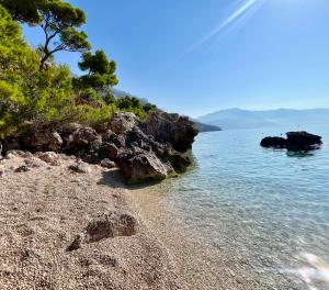 Příroda nedaleko apartmánu