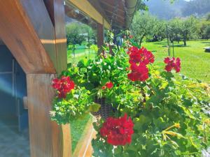 Afbeelding uit fotogalerij van Casa Opal in Săcele