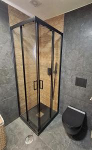 a shower stall with a black toilet in a bathroom at Plaza Andalucía Edificio Dornajo in Monachil +16 photos