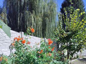 Afbeelding uit fotogalerij van Casa Opal in Săcele