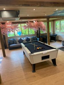 Τραπέζι μπιλιάρδου στο forest lodge
