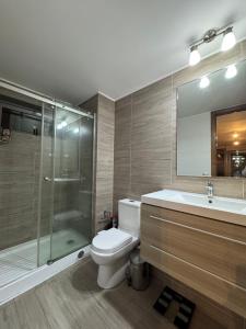 a bathroom with a toilet and a shower and a sink at Arriendo dos dormitorios Costas in Concón