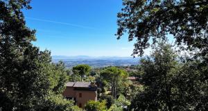 Příroda nedaleko apartmánu