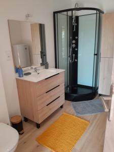 a bathroom with a sink and a shower with a mirror at Appartement dans grange rénovée in Meilhan