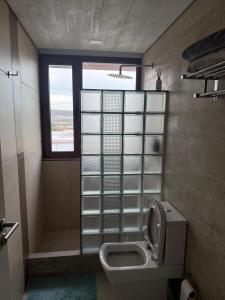 a small bathroom with a toilet and a window at Apart Sei - Rada Tilly - in Rada Tilly +10 photos