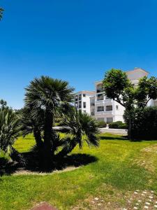 a palm tree in a park in front of a building at Casa Ma-Thé, l'art de vivre in Sucina