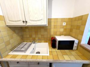 eine Küchentheke mit Mikrowelle und Spüle in der Unterkunft Studio cosy à 200m de la plage Parking & Wi-Fi in Bormes-les-Mimosas