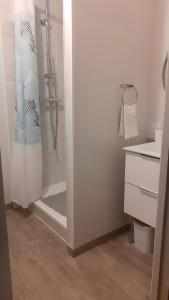 a bathroom with a shower with a glass door at Lagnieu in Lagnieu