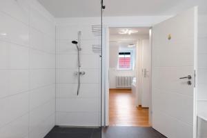 a bathroom with a shower and a glass door at Ferienwohnung Alte Münz in Müllheim +24 photos