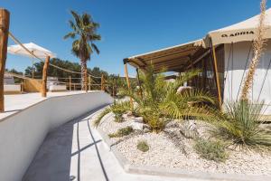 a resort with palm trees and a ramp at Glamping Resort Olive and Sea in Bibinje