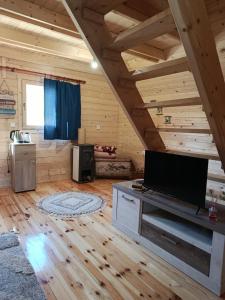 a living room with a large flat screen tv at Katun Mountain home in Žabljak