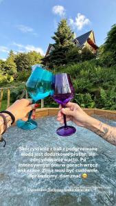 two people holding up wine glasses in the water at Willa Gazdówka kameralny nocleg ze śniadaniem Szklarska Poręba in Szklarska Poręba