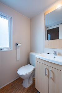a bathroom with a toilet and a sink at Mobil-home Elegance - 3 chambres in Seillac +12 photos